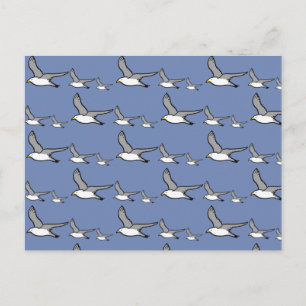 Cartão Postal Gaivotas em voo