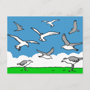 Cartão Postal Gaivotas em voo