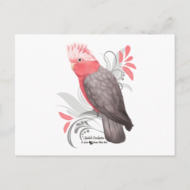 Cartão Postal Galah Cockatoo (Frente)