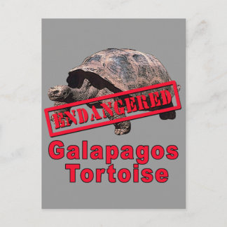 Cartão Postal Galápagos Tortoise Camisetas de Arte Ameaçadas