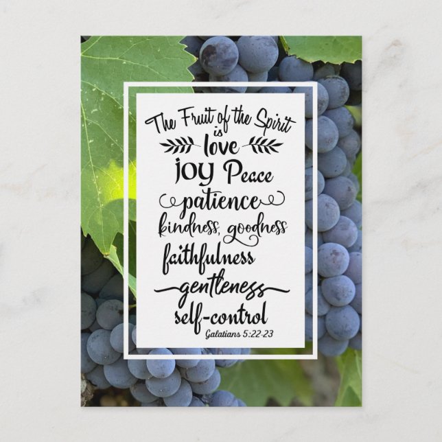 Cartão Postal Galatianos 5:22-23 A Fruta do Espírito (Frente)