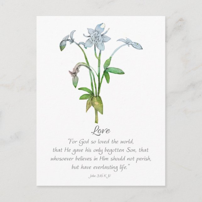 Cartão Postal Galatians Fruit of the Spirit Love John 3 16  (Frente)