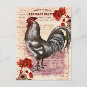 Cartão Postal Galeria Floral de Galo Antigo