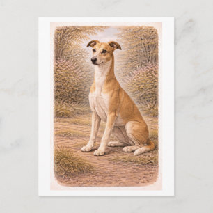 Cartão Postal Galgo cinza estilo retrô
