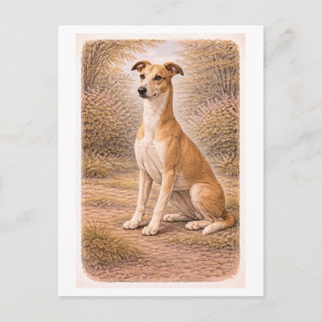 Cartão Postal Galgo cinza estilo retrô (Frente)