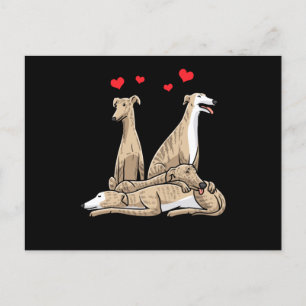 Cartão Postal Galgo Español Cão Espanhol Sighound
