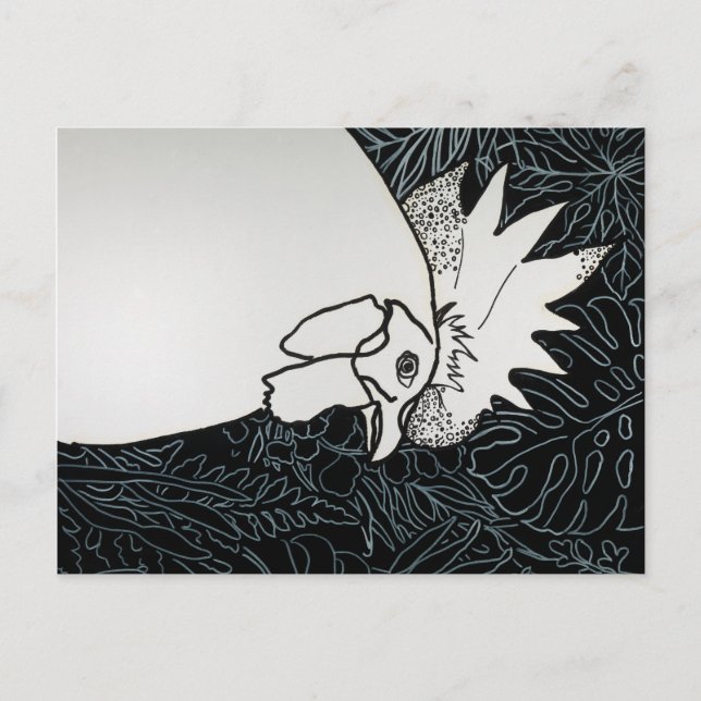 Cartão Postal Galinha 1 (Frente)