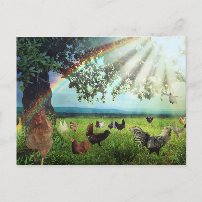 Cartão Postal Galinha Céu (Frente)