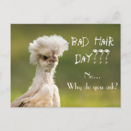 Cartão Postal Galinha do Dia do Cabelo Mau