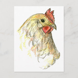 Cartão Postal Galinha Fazenda De Aves