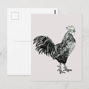 Cartão Postal Galinha orgulhosa!