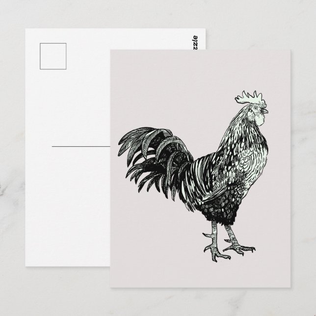 Cartão Postal Galinha orgulhosa! (Frente/Verso)