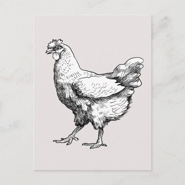 Cartão Postal Galinha orgulhosa! (Frente)