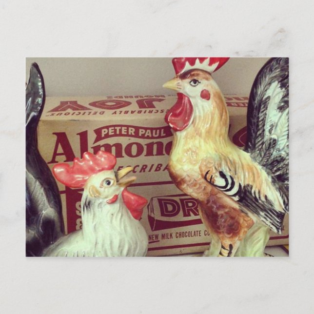 Cartão Postal Galinhas Antigas (Frente)