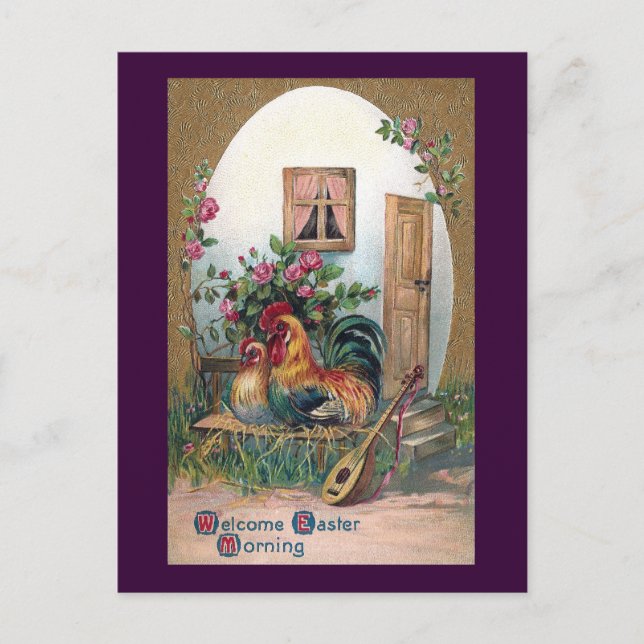 Cartão Postal Galinhas com Luta e Ovos (Frente)