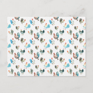 Cartão Postal Galinhas Country do Amante de Frango