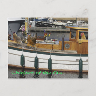 Cartão Postal Galinhas no Mar - Humor