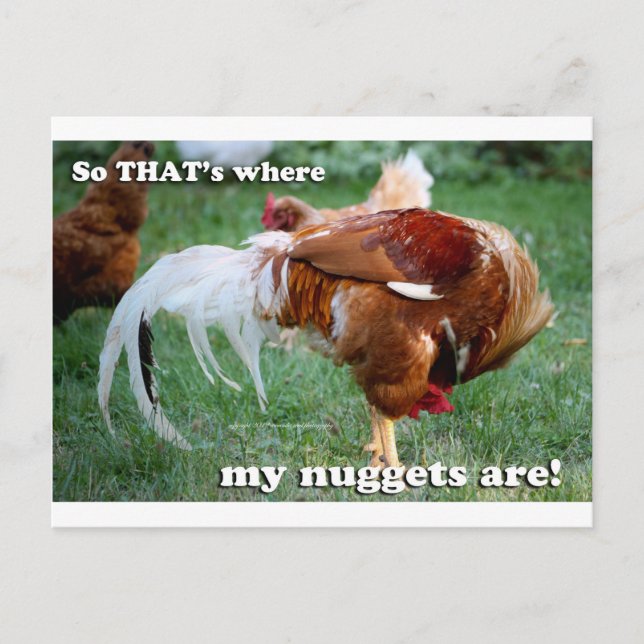 Cartão Postal Galinhas Nuggets - Galo (Frente)