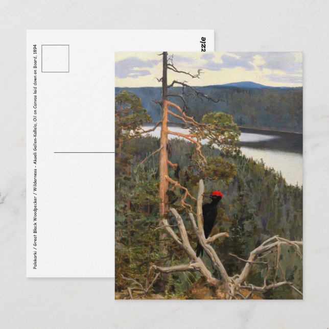 Cartão Postal Gallen-Kallela - Pica-Pau Negro Excelente 1894 (Frente/Verso)