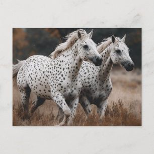 Cartão Postal Galloping Leopard Appaloosa Cavalos