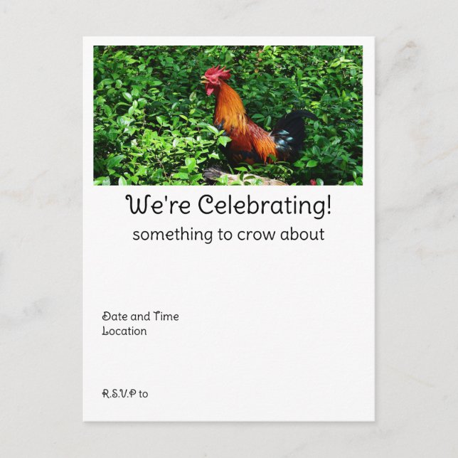 Cartão Postal Galo (Frente)