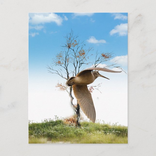 Cartão Postal Galo (Frente)