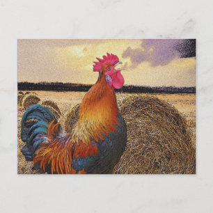 Cartão Postal Galo Colorido e Hay Bale