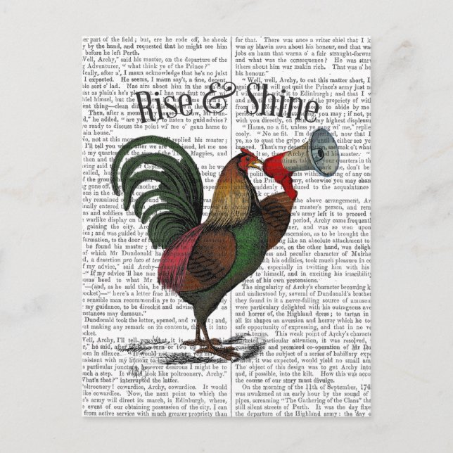 Cartão Postal Galo com Loudhailer 2 (Frente)