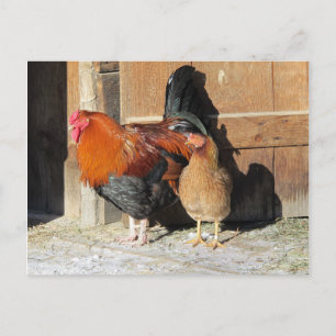 Cartão Postal Galo de Fazenda da placa de Posto e Hen