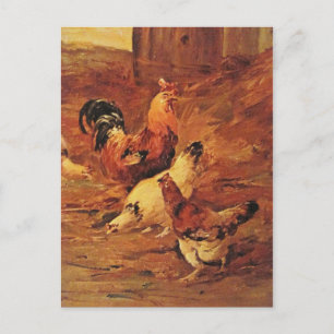 Cartão Postal Galo e galinhas