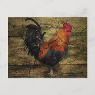 Cartão Postal Galo francês da Fazenda de galinha do Barn