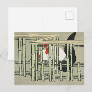 Cartão Postal Galo Japonês Antigo Atrás da Arte da Cerca de Bamb