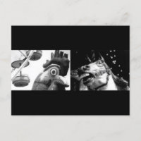 Galo Louco, conheça Cavalo Louco