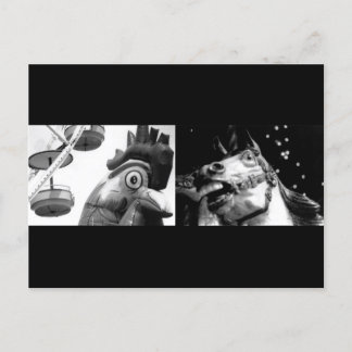 Cartão Postal Galo Louco, conheça Cavalo Louco