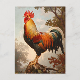 Cartão Postal Galo Majestoso Posicionando em Floresta Natural Es
