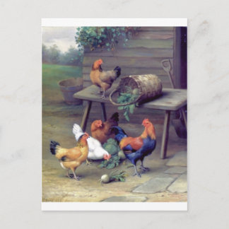 Cartão Postal Galo Nabo de Nabo