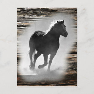 Cartão Postal Galopagem de Cavalos Selvagens