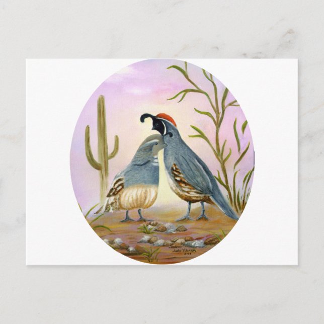 Cartão Postal Gambel Quails (Frente)