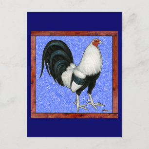 Cartão Postal Gamecock enquadrado