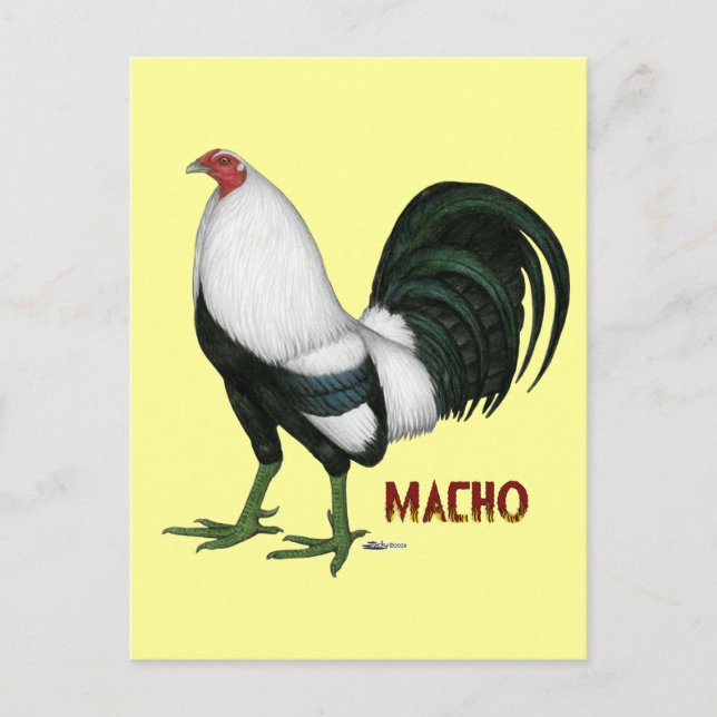 Cartão Postal Gamecock Macho Duckwing (Frente)