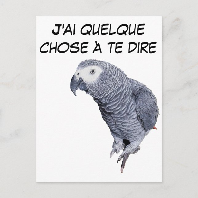 Cartão Postal Gamme Perroquet - Gris du Gabon (Frente)