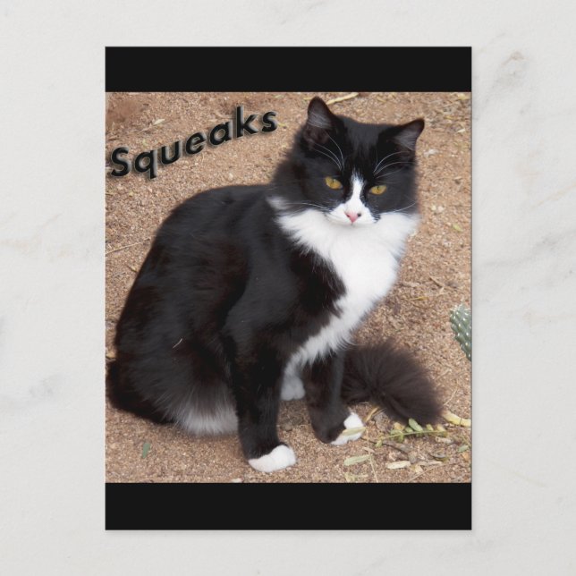 Cartão Postal Ganchos (Frente)