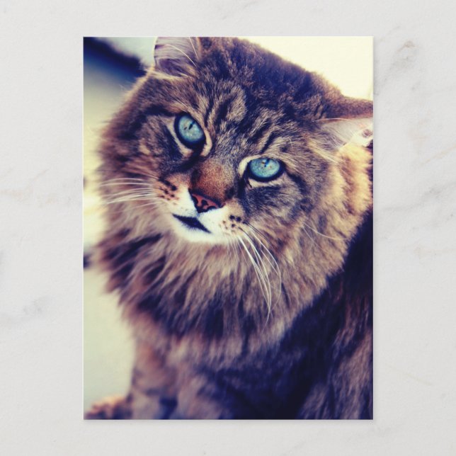 Cartão Postal Gandalf (Frente)