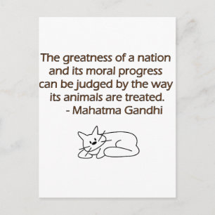 Cartão Postal Gandhi Animals Quote with Cat