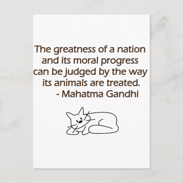 Cartão Postal Gandhi Animals Quote with Cat (Frente)