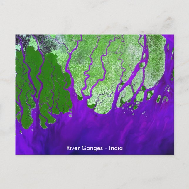Cartão Postal Ganges River Delta Satellite Image - Índia (Frente)