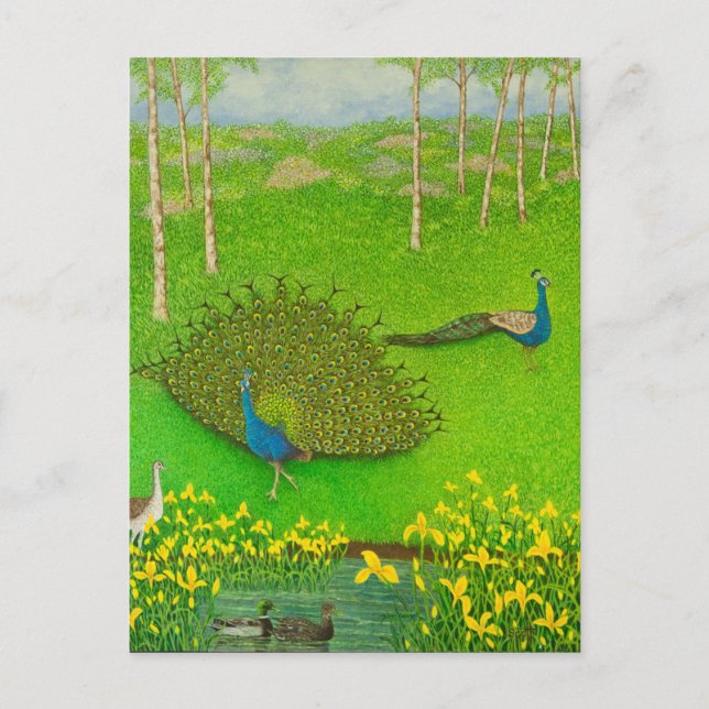 Cartão Postal Ganhando vitórias 2012 (Frente)