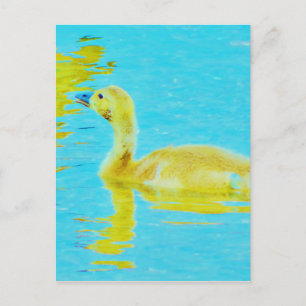 Cartão Postal Ganso bebê amarelo com água azul claro