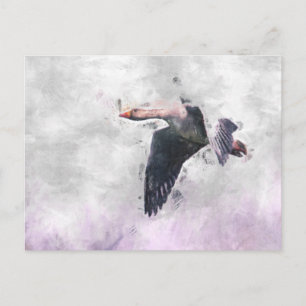 Cartão Postal Ganso Greylag Voador
