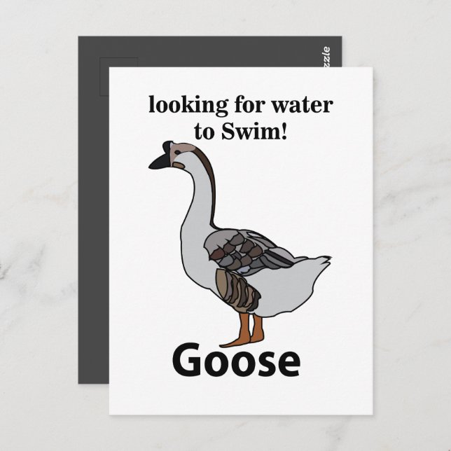 Cartão Postal Ganso Procurando Água Para O Ganso Africano Nataçã (Frente/Verso)